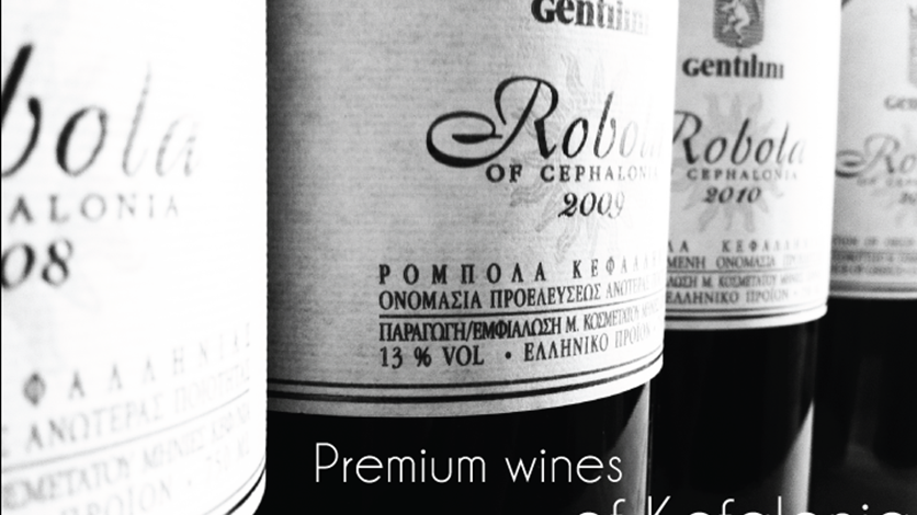 Gentilini wine tour in Pessada